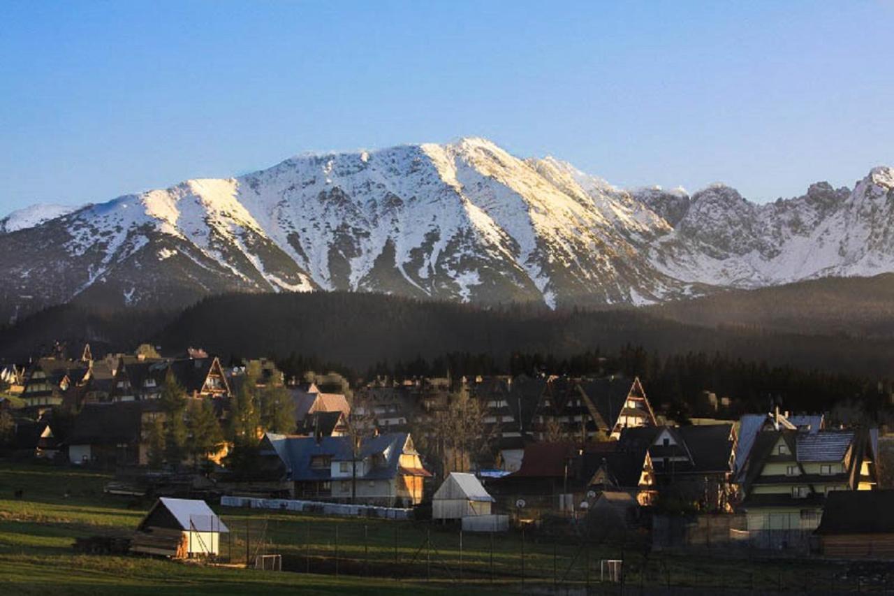Domki U Wilka Poronin Exterior photo